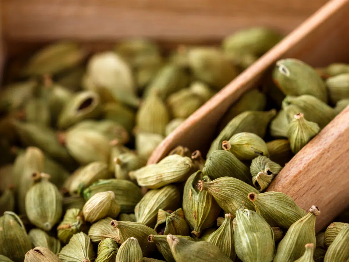 Green Cardamom