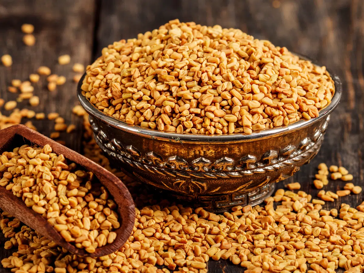Fenugreek Seed